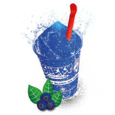 SNEKY SIRUP - TYP BILBERRY - AZOfree